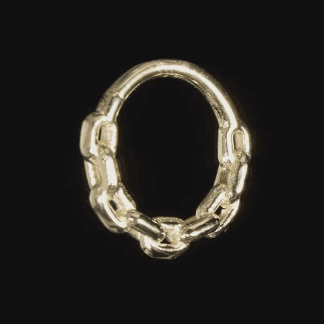 Chain Link Continuous Ring
