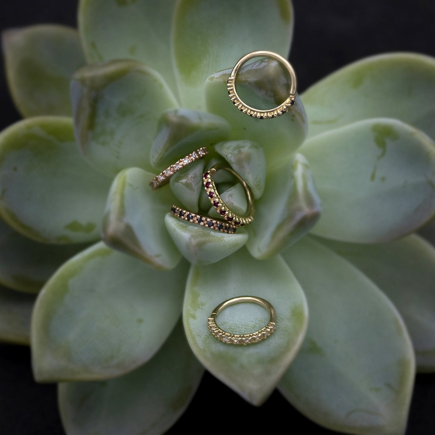 Hera Continuous Ring 7/16