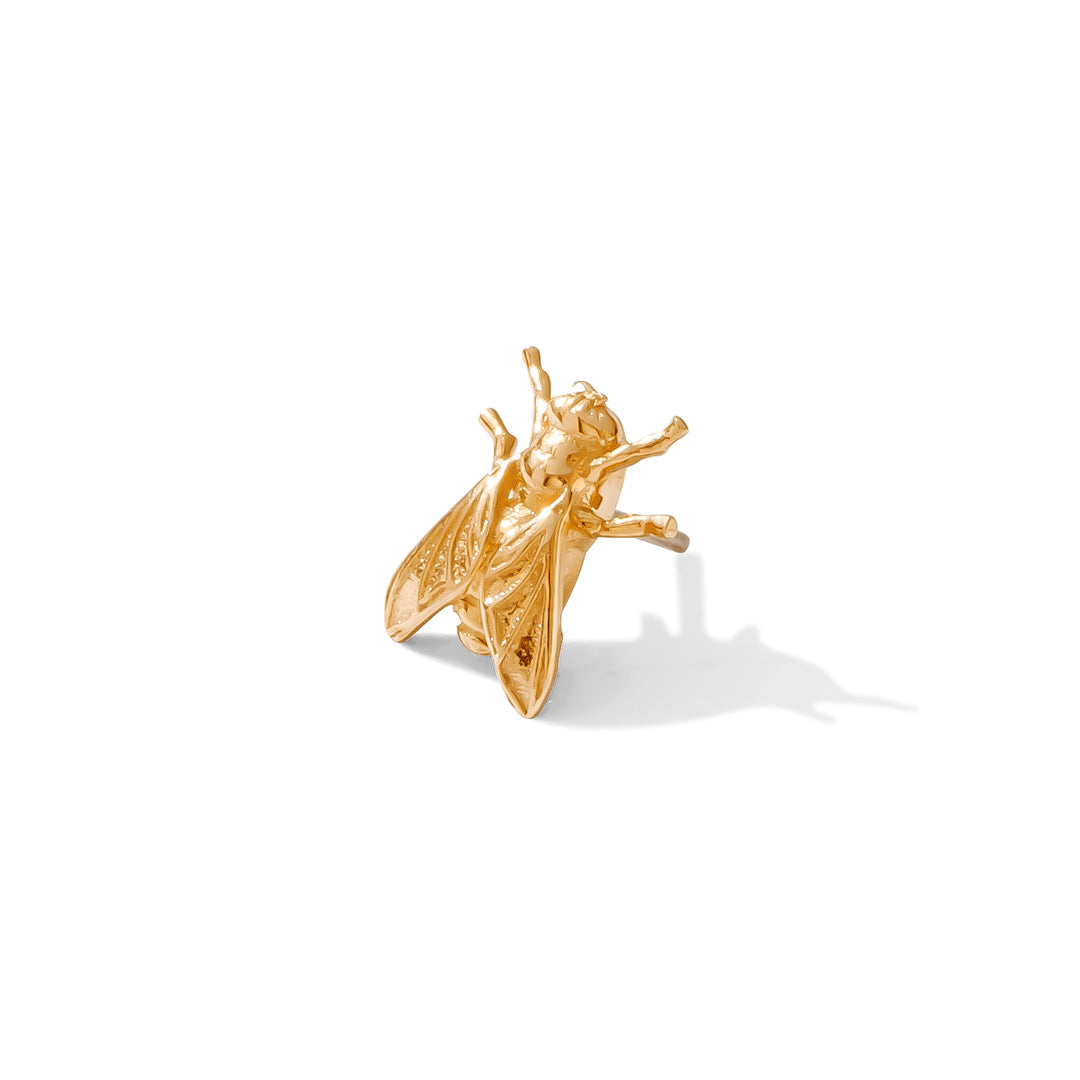 eerie fly design in gold for lobe or cartilage