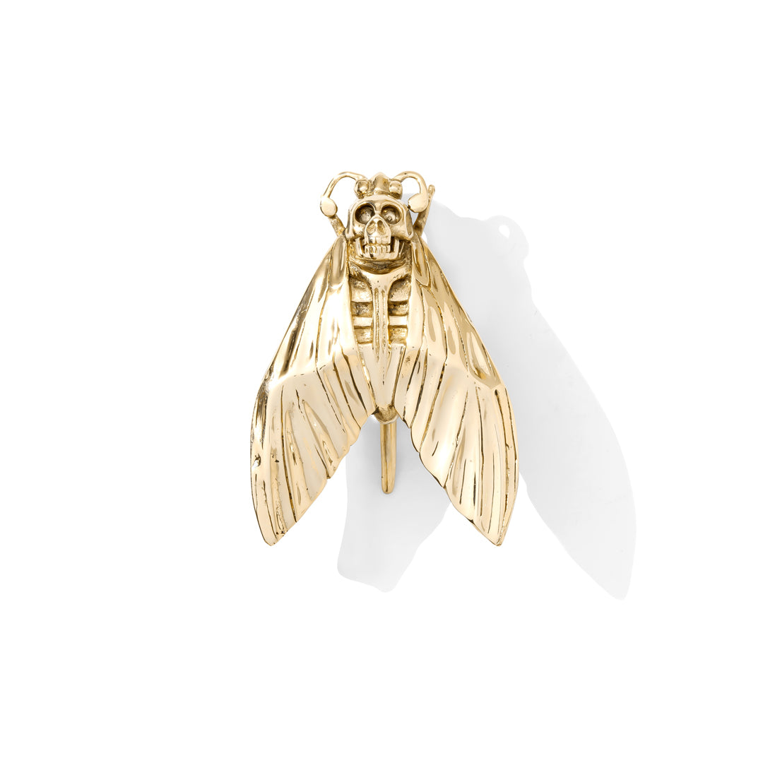 Death's Head Moth Weight