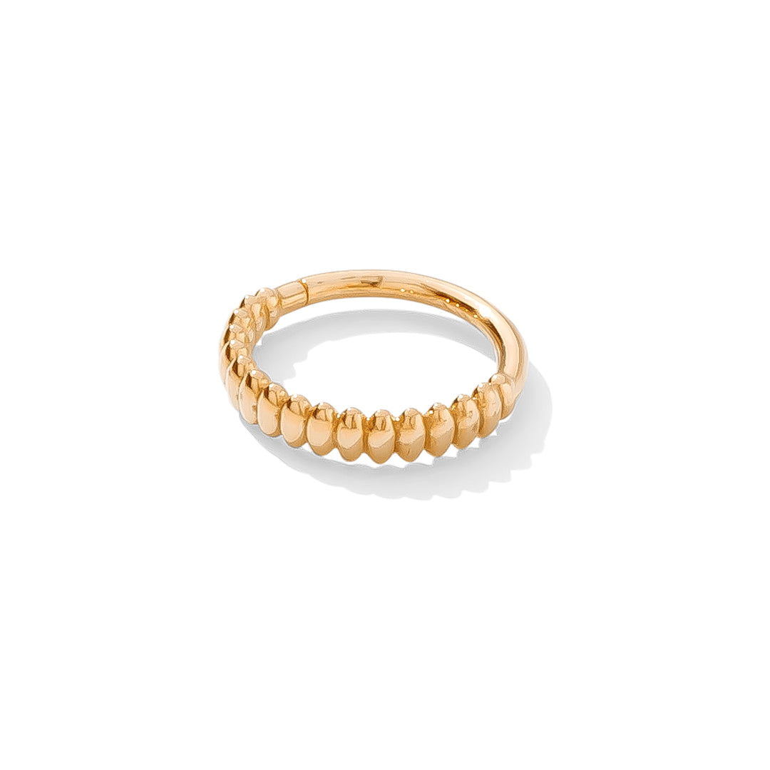 Linear Continuous Ring – TAWAPA