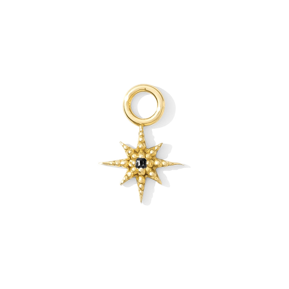 Lustre charm in 14k gold with sparkling center stone