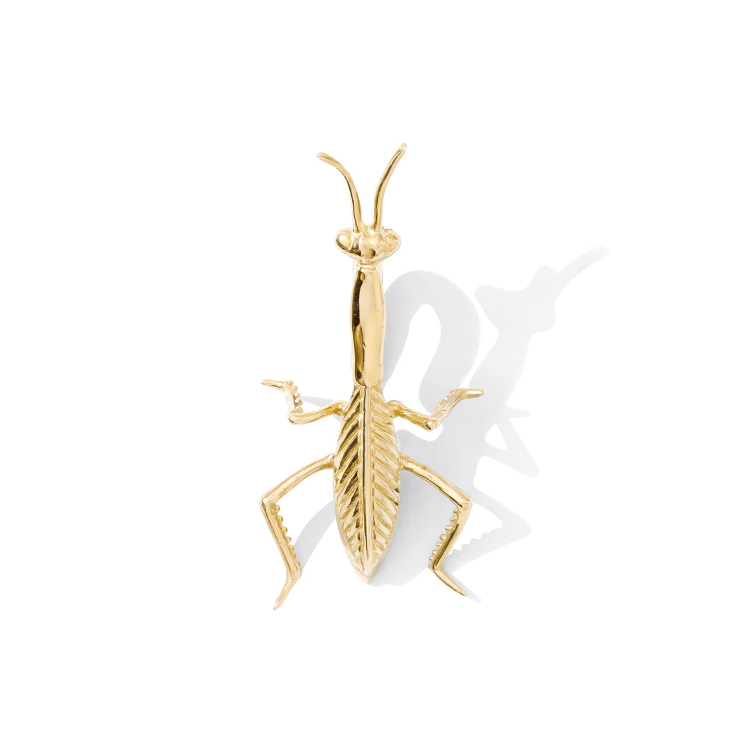 Praying Mantis Weight