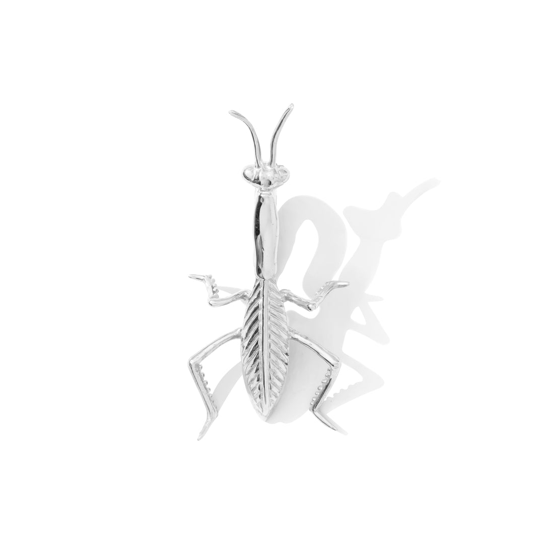 Praying Mantis Weight