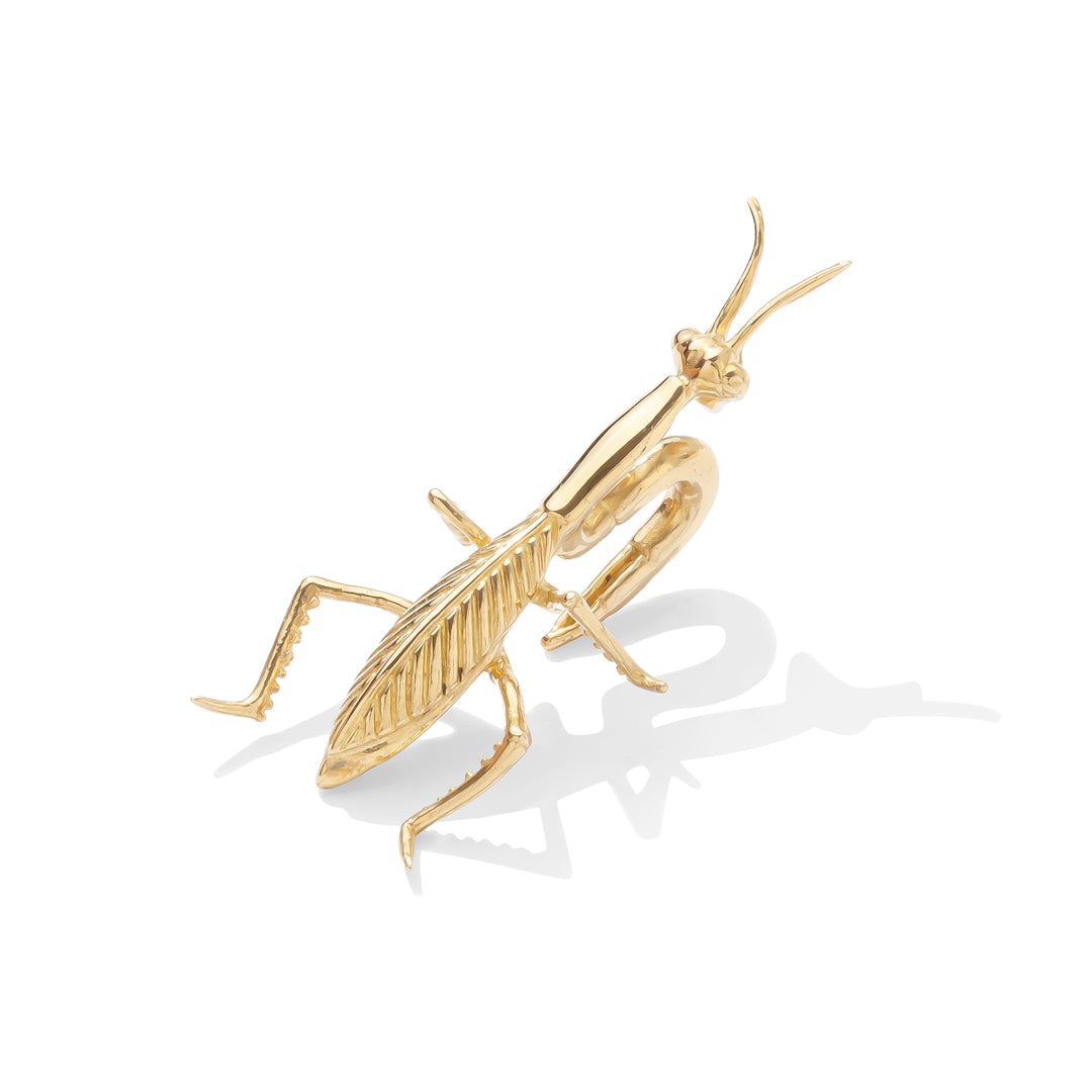 Praying Mantis Weight