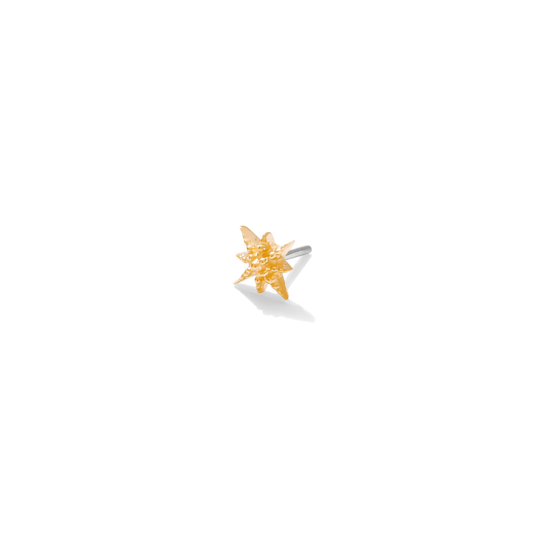 gold star charm for nostril or lobe piercings